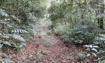 Imagem 4: Área de Terra à venda em Chácara Arantes - SP