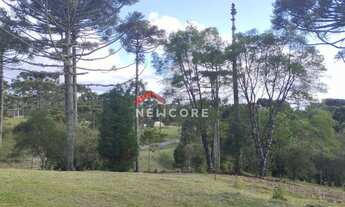 Imagem 6: Lote em Rua Leopoldo Stahnke - São Bernardo - São Francisco de Paula/RS