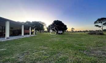 Imagem 4: ANO TODO PASTO VERDE