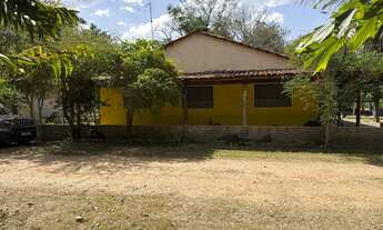 Imagem 6: Chácara pesqueiro