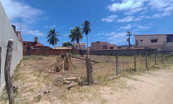 Imagem 4: Terreno Maragogi