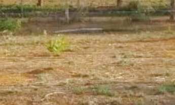 Imagem: Lote 400Mts 26 de Setembro Rua 5 Condomínio