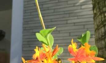 Imagem 5: Alugo casa de alto padrão em condomínio fechado, em Luís Eduardo Magalhães - BA