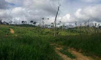 Imagem 5: Terra 20 Alqueires 11.000 por alqueires