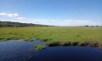 Imagem 2: Vendo Imóvel Rural com 162,5ha em Tavares/RS na Localidade de Capão Comprido
