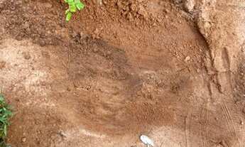 Imagem 6: OPORTUNIDADE DE INVESTIMENTO, FAZENDA DUPLA APTIDÃO X PECUARIA, ÁREA TOTAL 2100 HECTARES