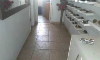 Imagem 4: LOJA DE FRENTE PARA AVENIDA ALUGUEL