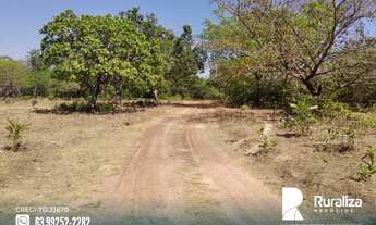 Imagem 14: Fazenda no Vale do Araguaia -TO para exploração agrícola e pecuária