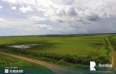 Imagem 11: Fazenda de projeto irrigado por controle de lençol freático na Lagoa da Confunsão - TO