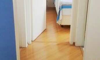 Imagem 6: Ref. 46320 [R$] Scheid Marajoara Creci 16.377-J