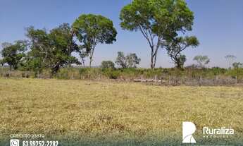 Imagem 8: Fazenda no Vale do Araguaia -TO para exploração agrícola e pecuária
