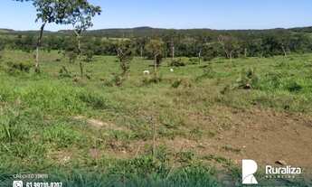 Imagem 6: Fazenda com dupla aptidão e 2.812,04 hectares na região de Itacajá - TO