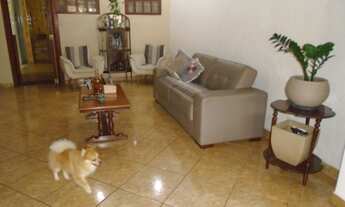 Imagem 4: Casa venda 3 dormitorios na Vila Albertina 800111