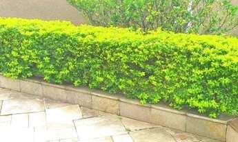 Imagem: Apartamento para venda tem 49 metros quadrados