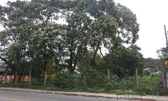 Imagem 6: Florianópolis - Terreno Padrão - Cachoeira do Bom Jesus