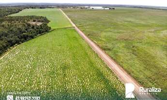 Imagem 5: Fazenda com dupla aptidão em Guaraí - TO