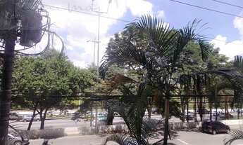 Imagem 2: Apartamento para reforma à venda com 3 dormitórios perto do Clube Pinheiros