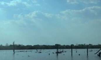 Imagem 11: Fazenda 2.350 ALQ, Paranã - TO