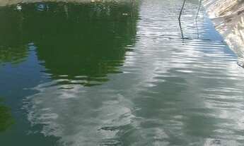 Imagem 7: Oportunidade vendo excelente chacara escriturada