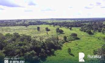 Imagem 5: Fazenda com dupla aptidão na região do Vale do Araguaia-TO