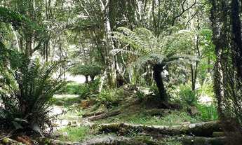 Imagem 7: Sítio em Igrejinha dívisa com Gramado