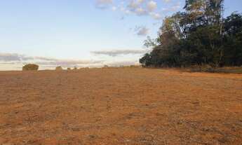 Imagem 2: Fazenda/Sítio a venda com 15alq. 72,6Ha em lavoura - Itaberaí - Goiás