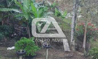 Imagem 7: Sítio / Chácara para Venda em Camboriú, Área Rural de Camboriú, 2 dormitórios