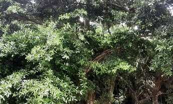 Imagem 7: Prédio localizado em rua sem saída, extremamente tranquila e residencial, com portaria 24h