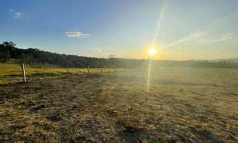 Imagem 6: Fazenda/Sítio a venda com 15alq. 72,6Ha em lavoura - Itaberaí - Goiás