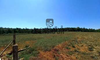 Imagem 7: Sítio com 7,1h, casa, galpão, piscina em Triunfo - Aceito veículo