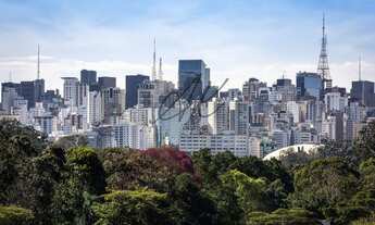 Imagem: Vista para o Parque Ibirapuera