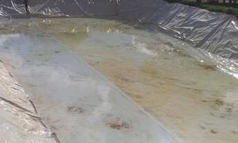 Imagem 6: Oportunidade vendo excelente chacara escriturada