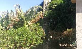 Imagem 7: Galpao comercial