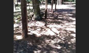 Imagem 7: Sítio às margens do rio Jacui