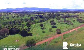 Imagem 7: Fazenda com dupla aptidão na região de Paraíso do Tocantins - TO