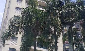 Imagem: Apartamento para aluguel tem 51 metros uteis