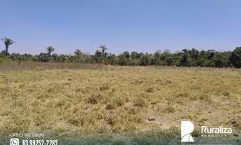 Imagem 16: Fazenda no Vale do Araguaia -TO para exploração agrícola e pecuária