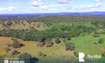 Imagem 6: Fazenda com dupla aptidão na região de Paraíso do Tocantins - TO