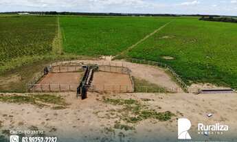 Imagem 7: Fazenda com dupla aptidão em Guaraí - TO