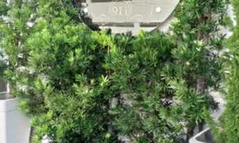 Imagem 4: Salas para alugar em MANAIRA!