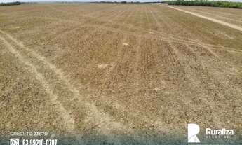 Imagem 3: Fazenda com 4.602,69 hectares e alto potencial para agricultura na região de Goianorte - T