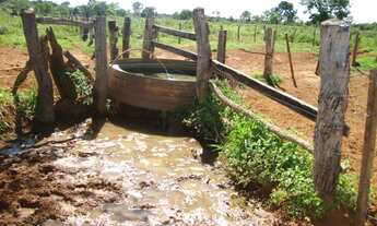 Imagem 2: Fazenda de 100 hectares em Terenos - MS