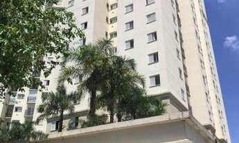 Imagem 2: Apartamento Condomínio Fatto Figueira - 3 dormts - 1 suíte - Centro - São Bernardo do Camp