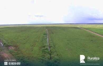 Imagem 7: Fazenda de projeto irrigado por controle de lençol freático na Lagoa da Confunsão - TO