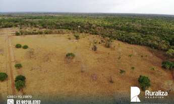 Imagem 3: Fazenda com dupla aptidão no Vale do Araguaia - TO