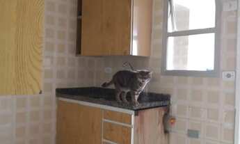 Imagem 7: Excelente apartamento de 2 dormitórios próximo à estação Santa Joana!