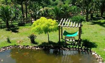 Imagem 5: Maravilhoso Sítio no Centro de Delfim Moreira/MG com Cerca de 8,6 Hectares