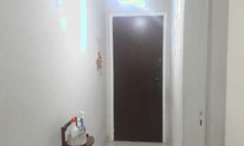 Imagem 7: SãO PAULO - Padrão - POMPÉIA