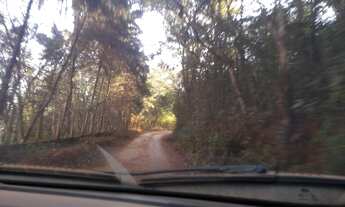 Imagem 4: Vem comprar sua chácara em Mateus Leme