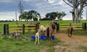 Imagem 6: Fazenda 210 alqueires Machadinho D' Oeste